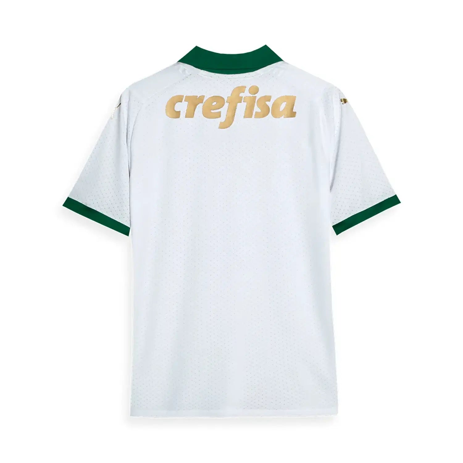 Camisola Palmeiras Segunda 24/25