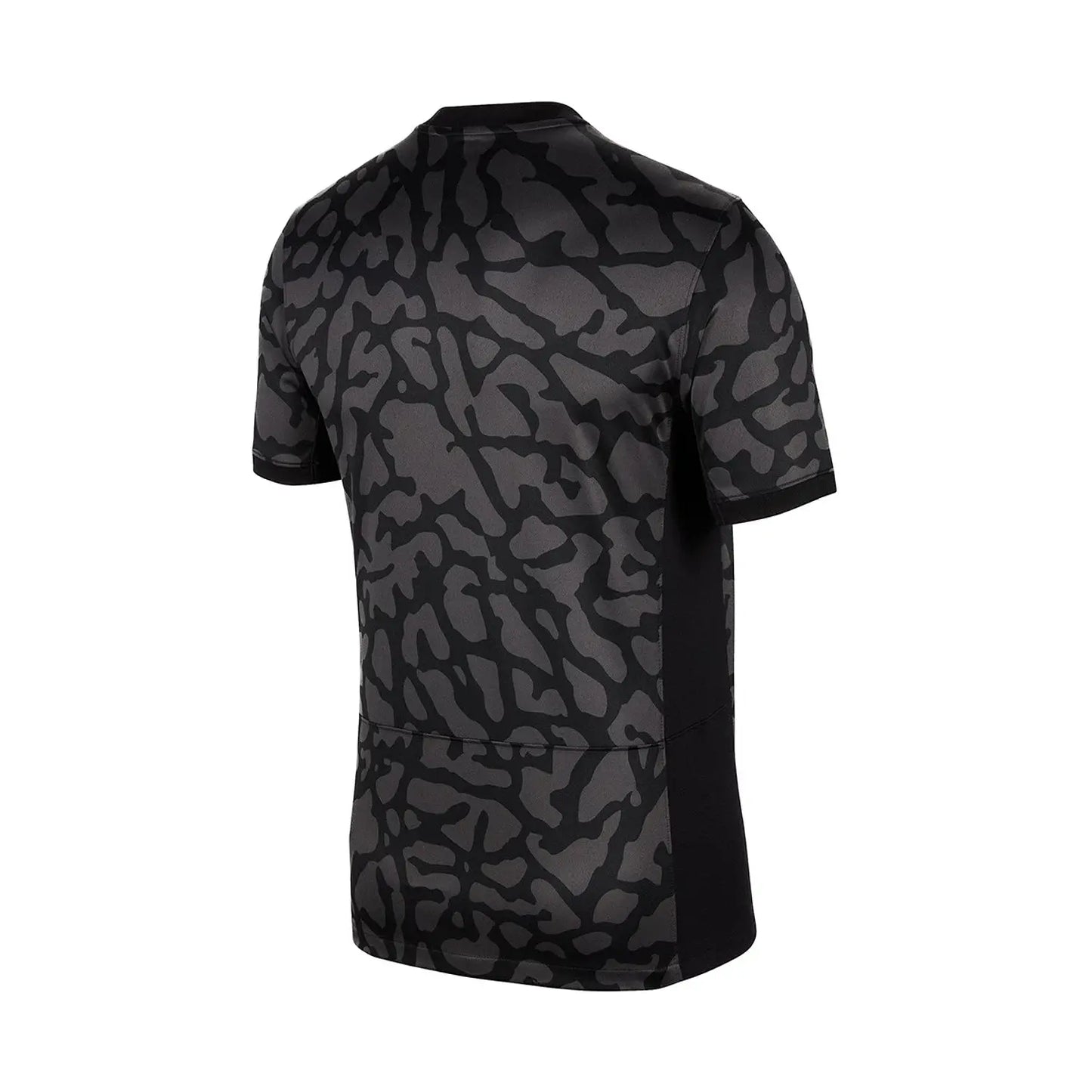 Camisola Paris Saint-Germain Terceiro Equipamento 2023-2024