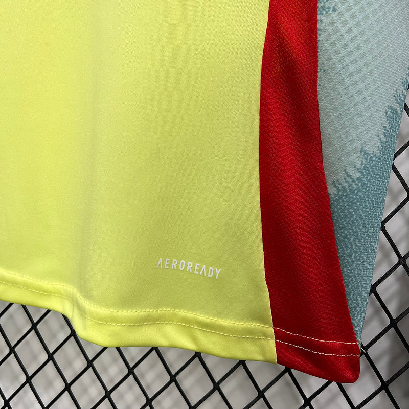 Camisa Seleção da Espanha ll - 24/25