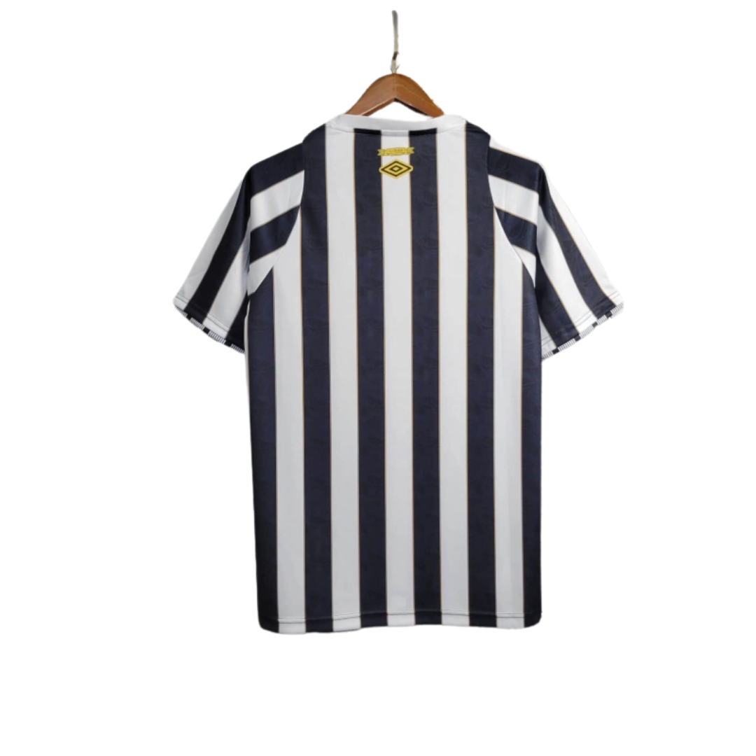 Camisola Santos Alternativa 24/25